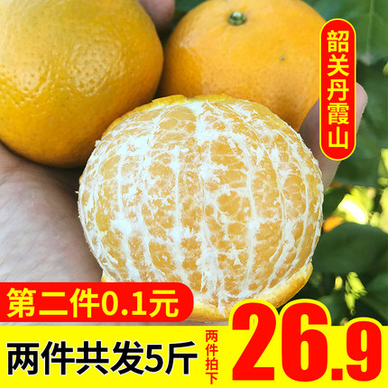 广东皇帝柑现摘橘子当季新鲜水果整箱桔子蜜桔柑橘