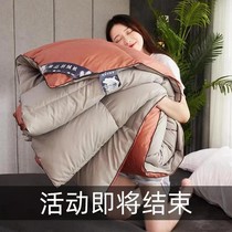 Hotel down Thickened Warm Winter Quilt by Core Light Goose Feathers By Single Person Double 95 White Goose Down Quilt