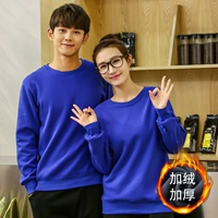 (MSHJ) 311 Plush Royal Blue