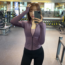 Slim stand collar Sports Jacket Womens tight fitness jacket running long sleeve quick-drying slim zipper yoga clothing spring and autumn
