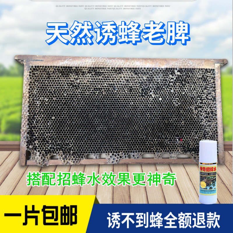 Bee splenic honey bee hive spleen old spleen beeswax in beehive Beehive Wax old nest Spleen Strokes Bee Special Beehive