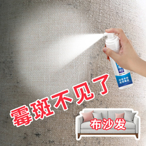 Fabric Sofa Mouldy Car Mouldy Car Molars Car With Chair Curtains Mattresses Remove Mold Deities Home Go Moldy Spots