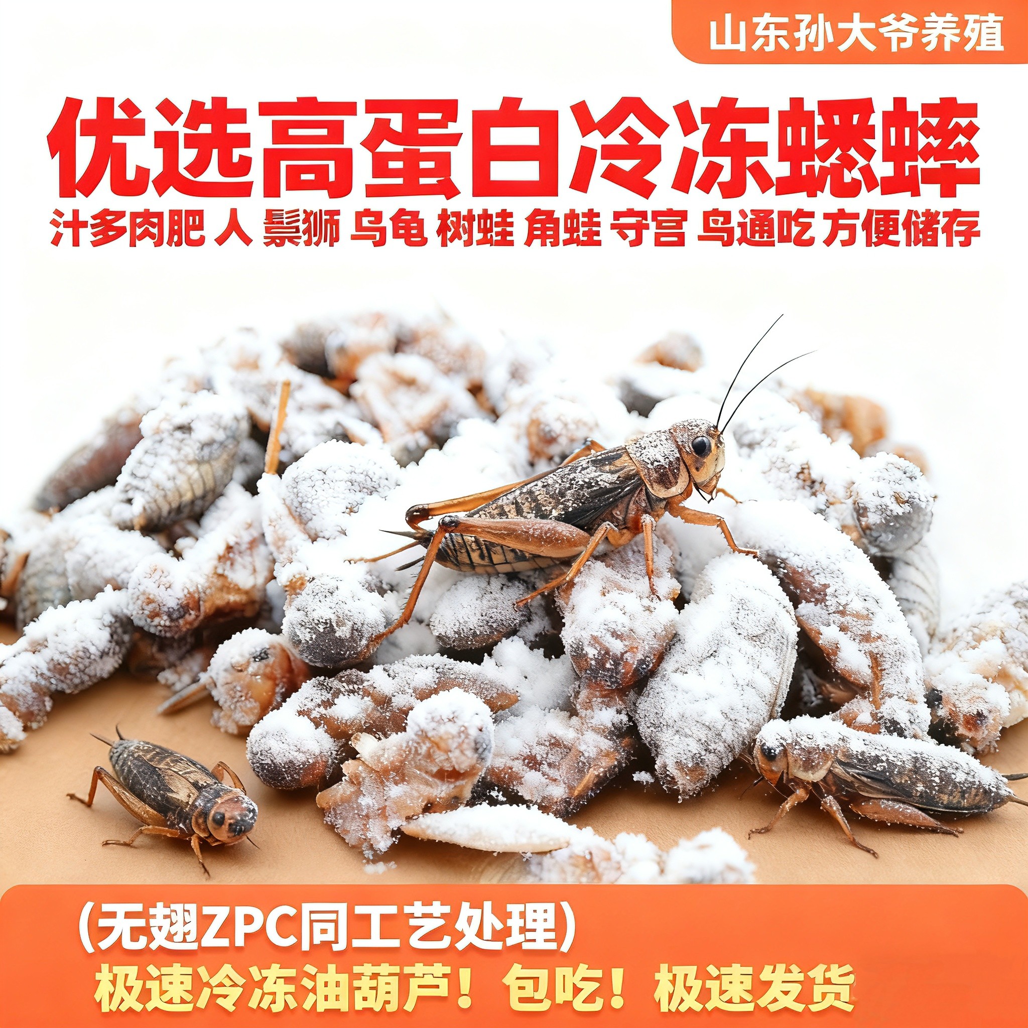 蛐蛐罐蟋蟀盆！纯手工雕刻大桌盆，这对蛐蛐罐太绝了！-蟋蟀-淘宝好物网