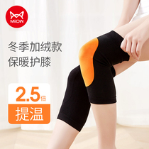 Cat man knee pads warm old cold legs self-heating men and women paint knee sheath wind leg protection Women joint movement