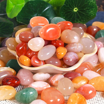 Nanjing Yuhua Stone Natural Fish Tank Landscaping Stone Home Decoration Colorful Stone Hydroponic Flower Pot Pebbles Small Stone Aquarium