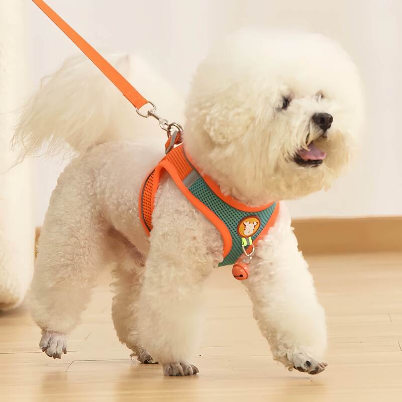 Dog Leash Vest-Style Small Dog Harness for Teddy, Bichon, Pomeranian, Breathable Summer Harness, Dog Walking Leash, Dog Chain