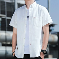 Белый [Модель 1919]