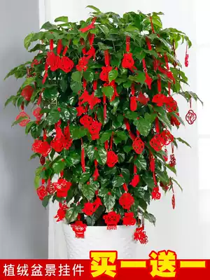 New Year's Day Bonsai pendant Small lantern pendant Indoor New Year's Day Spring Festival potted plant decoration flocking small pendant