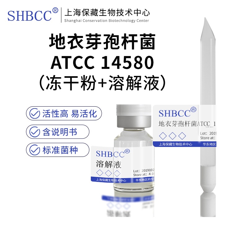 地衣芽孢杆菌ATCC 14580模式菌株营养肉汁琼脂培养基30℃培养活化