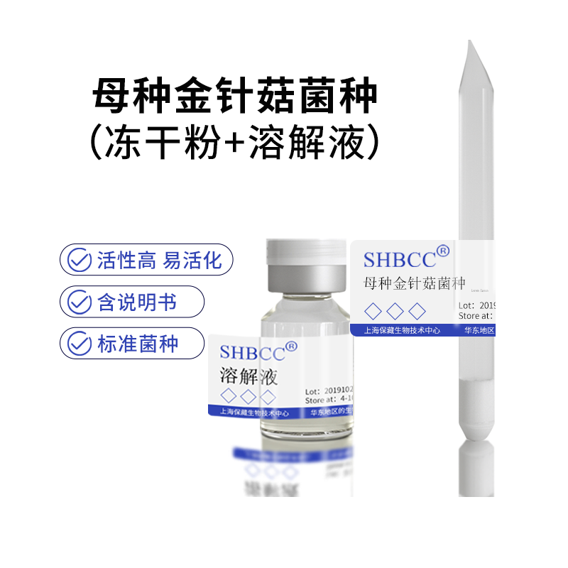 包邮冻干粉母种金针菇菌种服务服务