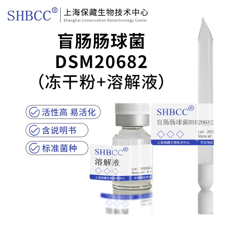 包邮冻干粉盲肠肠球菌DSM20682菌种服务