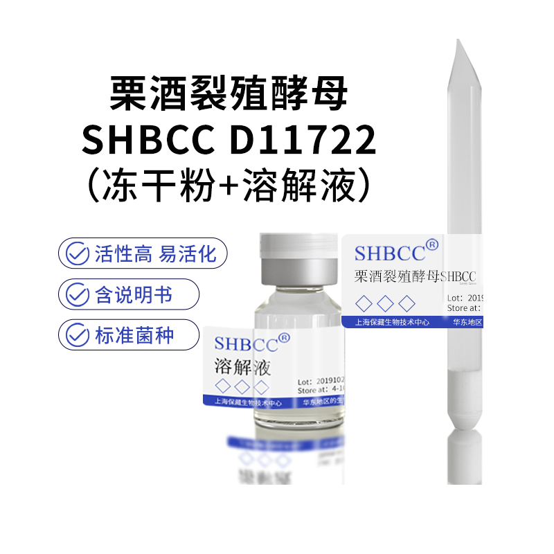 栗酒裂殖酵母SHBCC D11722 AS2.247提供形式冻干粉4-10度保存