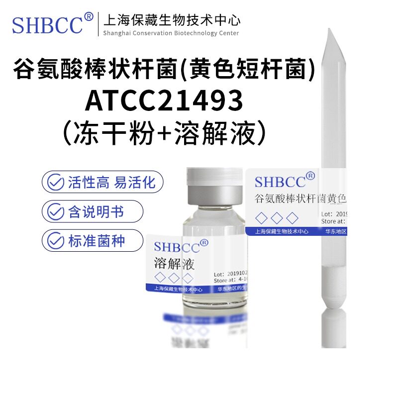 谷氨酸棒状杆菌黄色短杆菌ATCC21493营养琼脂培养基活化试管菌