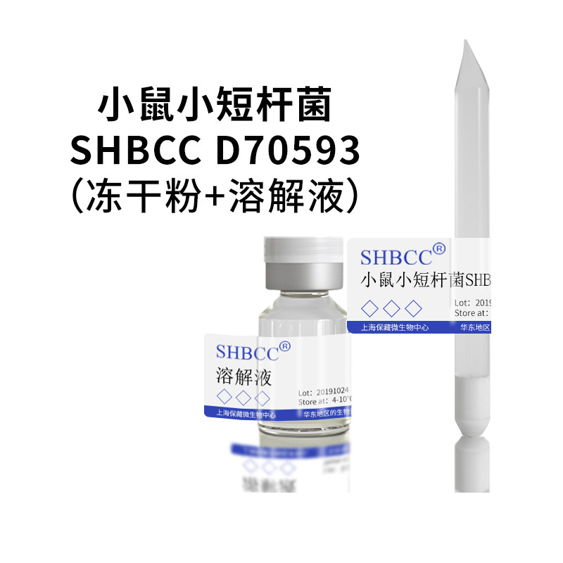 小鼠小短杆菌非模式菌株海水2216琼脂30℃培养冷藏4-10℃冻干物