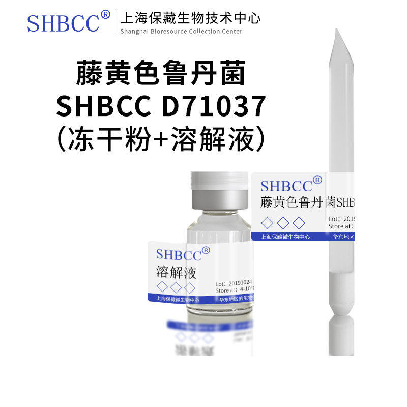 藤黄色鲁丹菌KACC 12603模式菌株R2A培养基30℃培养冷藏4-10℃