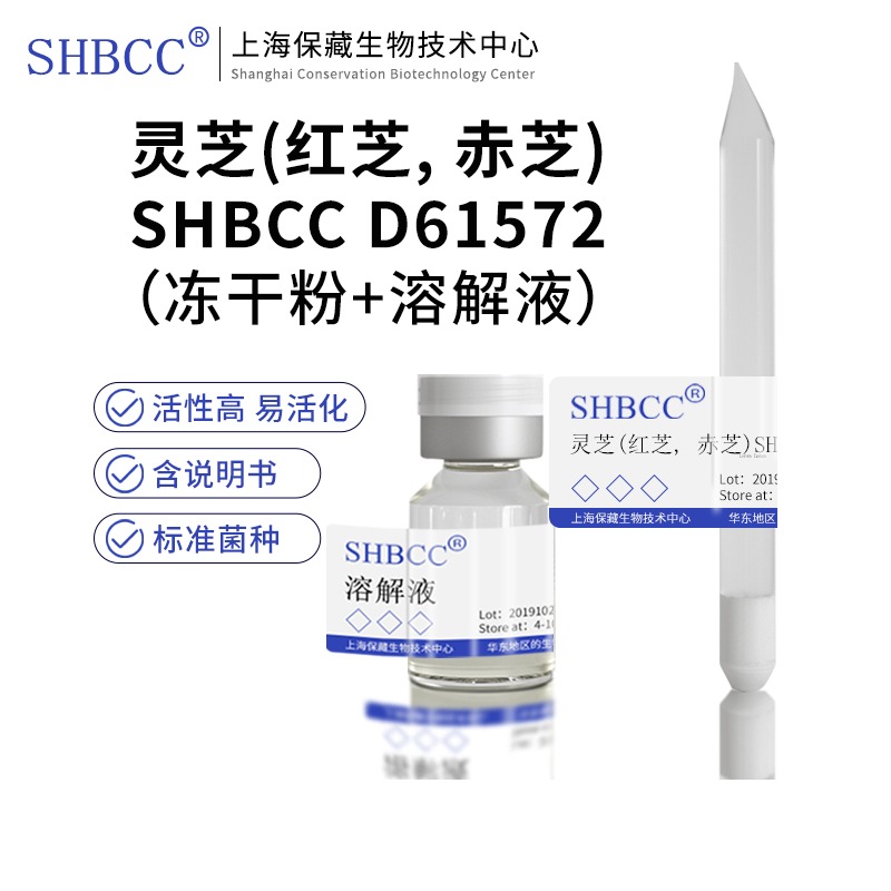 灵芝(红芝, 赤芝)SHBCC D61572非模式菌株综合PDA琼脂培养基