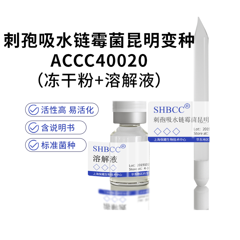 包邮 冻干粉 刺孢吸水链霉菌昆明变种 ACCC40020
