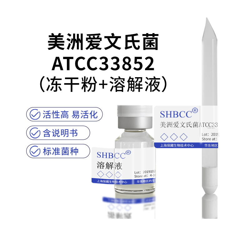 包邮冻干粉美洲爱文氏菌模式菌株ATCC33852菌种培养服务