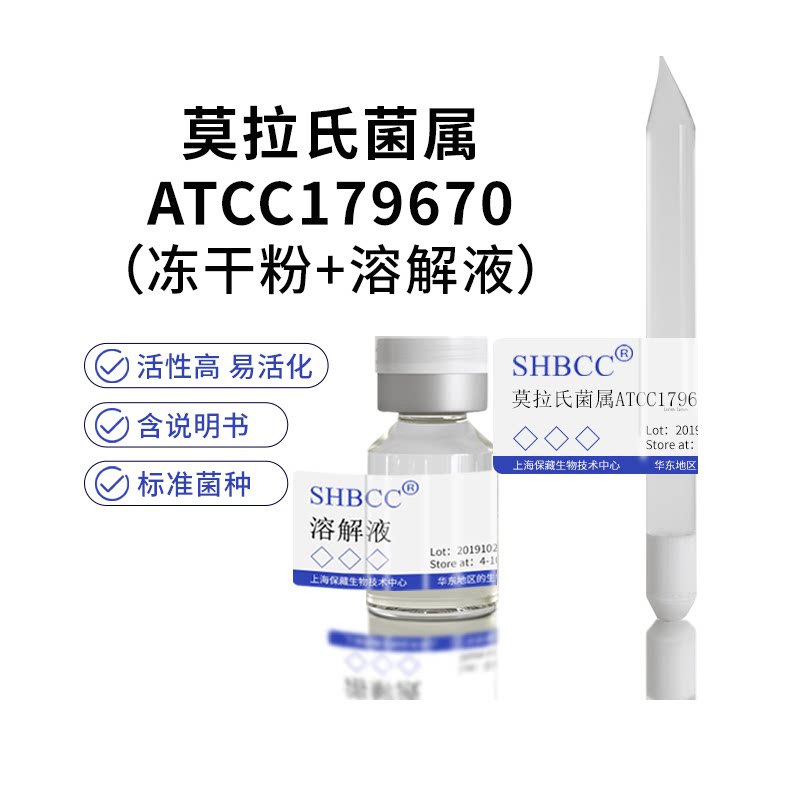 包邮冻干粉莫拉氏菌属ATCC179670代菌种培养服务菌种培养服务