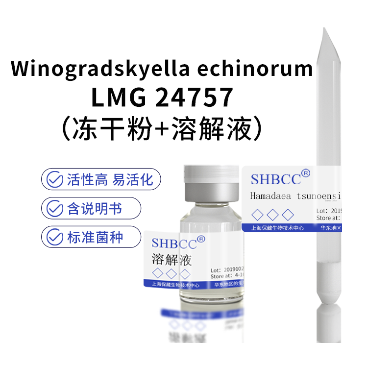 包邮 冻干粉 Winogradskyella echinorum LMG 24757 0代菌种