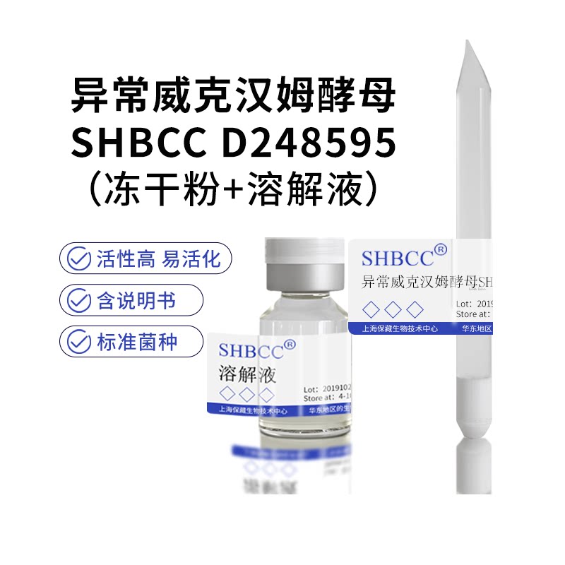 异常威克汉姆酵母SHBCC D248595 &deg;B&eacute;麦芽汁琼脂培养基25-28℃