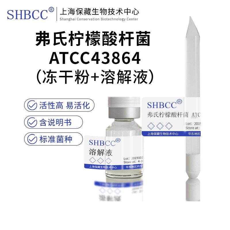 包邮 冻干粉  弗氏柠檬酸杆菌 ATCC43864
