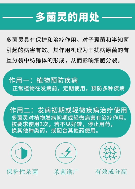 Guoguang carbendazim bột hoa hồng phong lan cây mọng nước bệnh phấn trắng đất thuốc carbendazim thuốc diệt nấm hoa