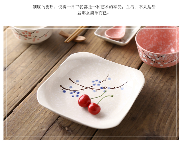 Japanese dishes suit 46 head of household ceramics tableware suit eating the food dishes, plates move wedding gift boxes