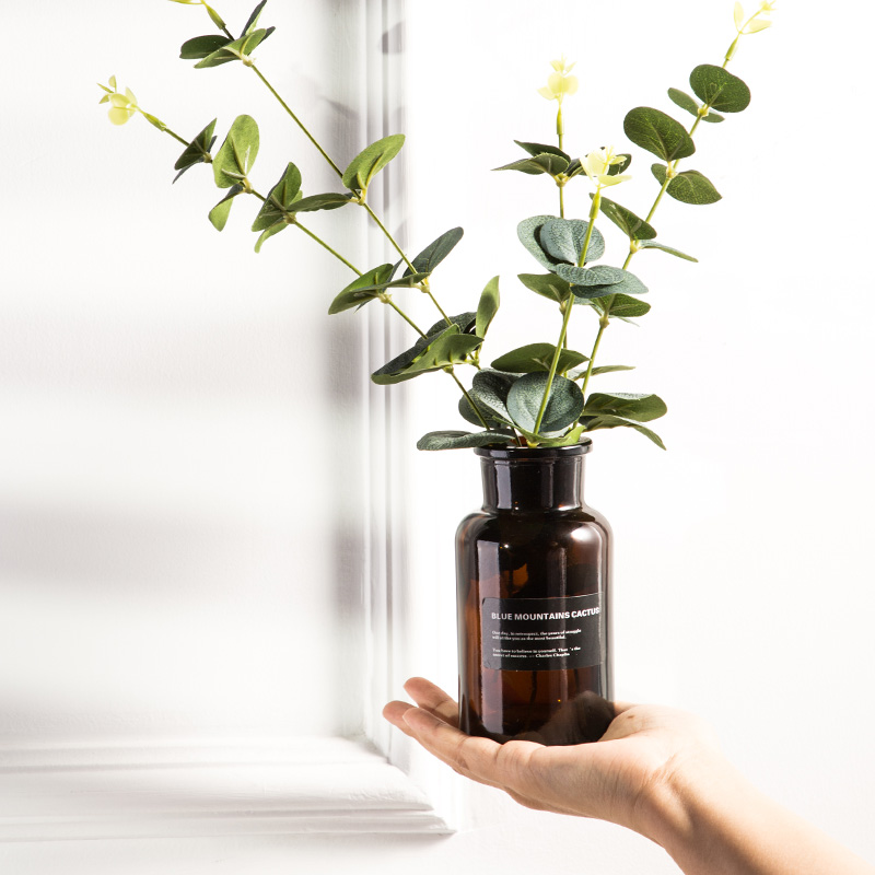 ins Windshield Reagent Bottle Simulation Dry Vase Set Decorative Photography Prop Ornament Gourmet Cake