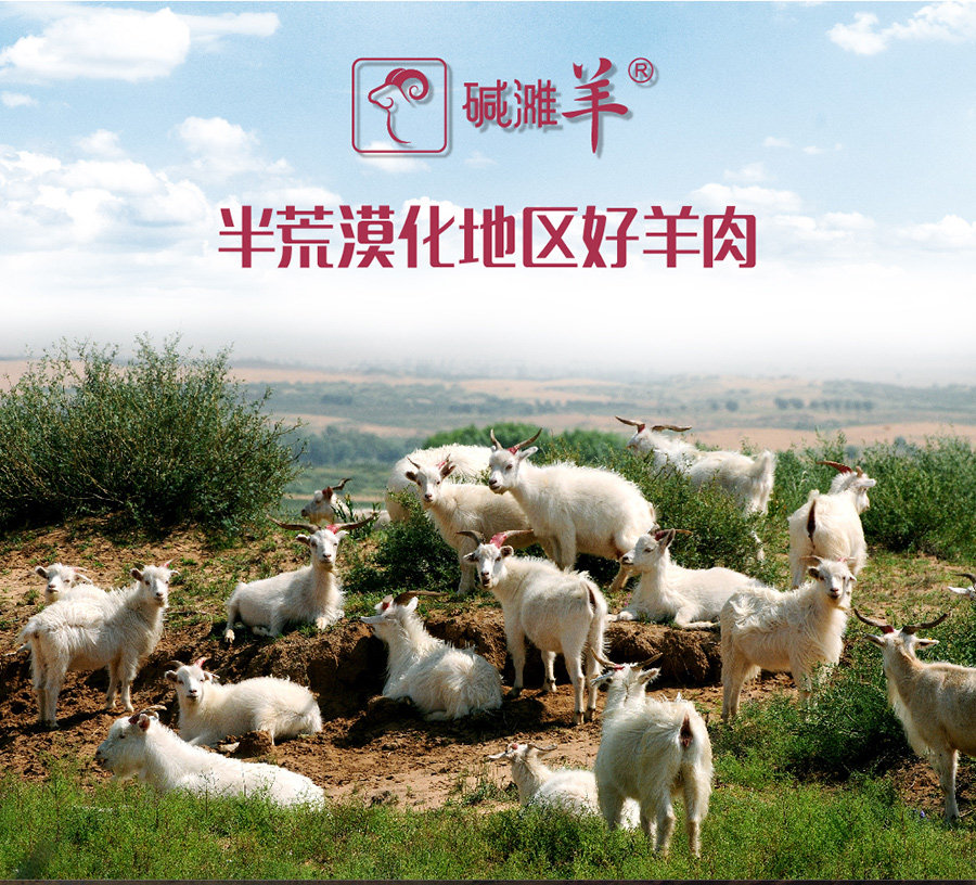 国家地标产品 碱滩羊 内蒙古准格尔山羊肉块 2斤 图1