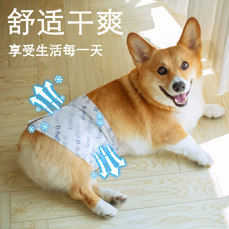 Dogs pee not wet, public dog special kokie physio pants puppies pet teddy paper pee pants dog care pants urinals pants