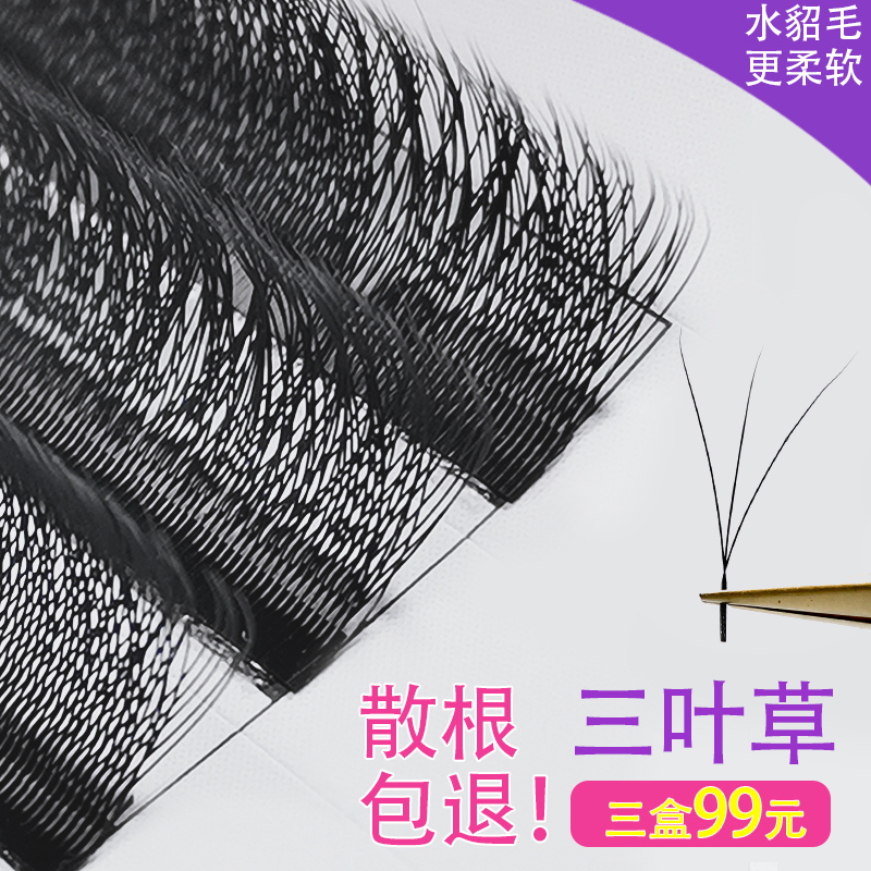0 05 05 leaf grass eyelash beauty mascara special Y type grafting eyelash soft hair dense roll with eyelash Japanese style mascara