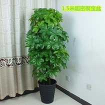Fake Tree Nine Star Fortune tree happy tree simulation plant potted plant Landing hotel living room office large green plant