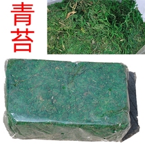 Simulation of Moss false Moss grass protection basin water plant soil flower arrangement decoration simulation green flower flower flower material