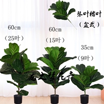 Qinye Rong ins Net red green plant potted plant simulation plant decoration Nordic Indoor bonsai living room fake tree piano leaf Banyan