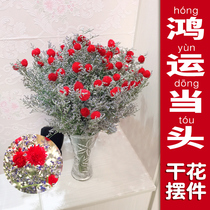 Hongyun head plastic flower dried flower real flower bouquet Lucky Fruit lover grass hipster home furnishings living room flower arrangement