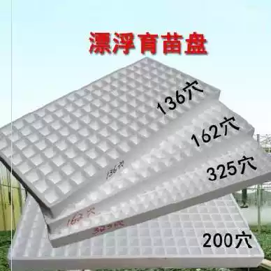 Seedlings, melons, seedlings, rectangular vegetables, foam floating plate, cultivation, seedlings, soilless cultivation Indoor