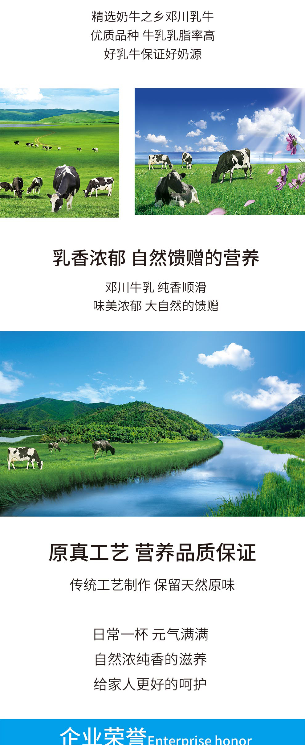 新希望蝶泉 全脂纯牛奶250ml*16盒 图3