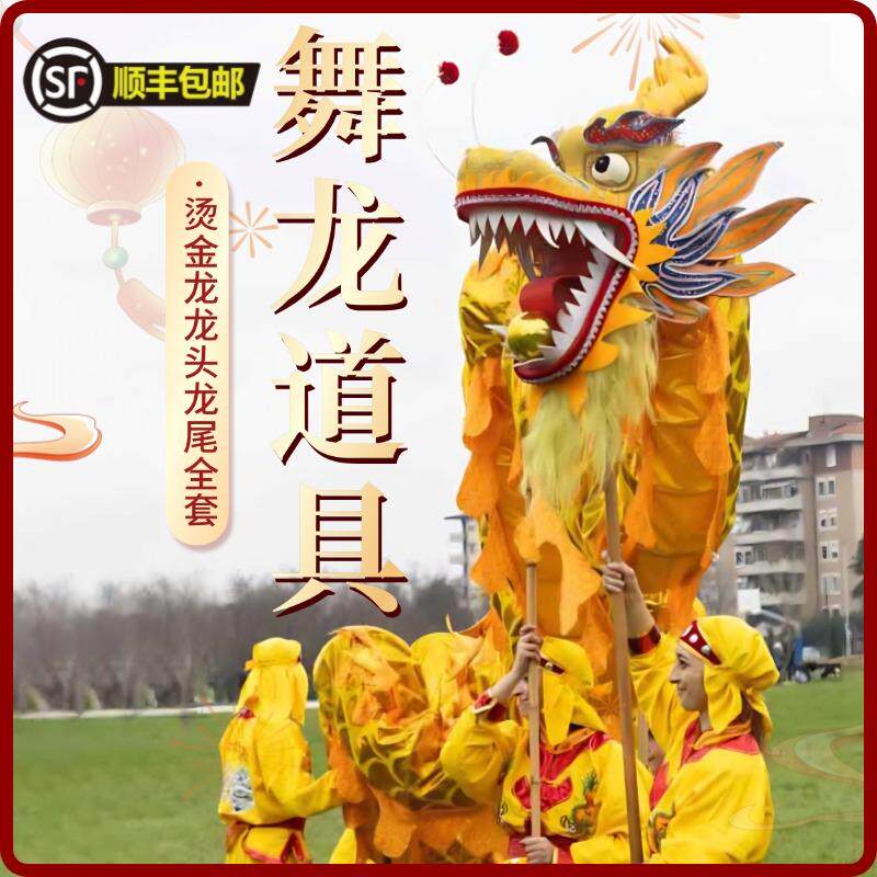 舞龙道具三号高密度绸布龙国标龙成人款儿童传统春节元旦表演道具