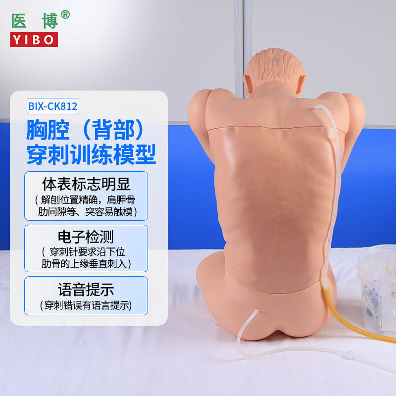 高级胸腔背部穿刺训练模型 医博模拟人设备 带语音提示教学模型