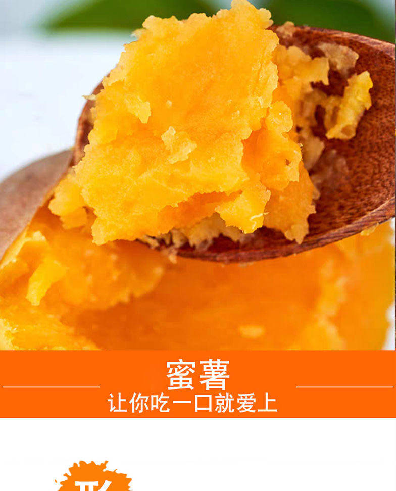 绿巧音 新鲜农家香甜蜜薯 5斤 图5