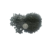 Амазонка водные черные водоросли