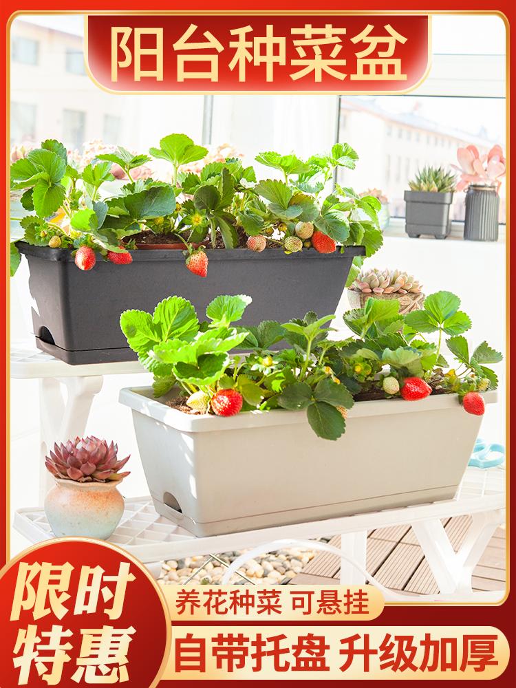 Flower pot household planted vegetable dish pot balcony plastic thickening pot for strawberry pot