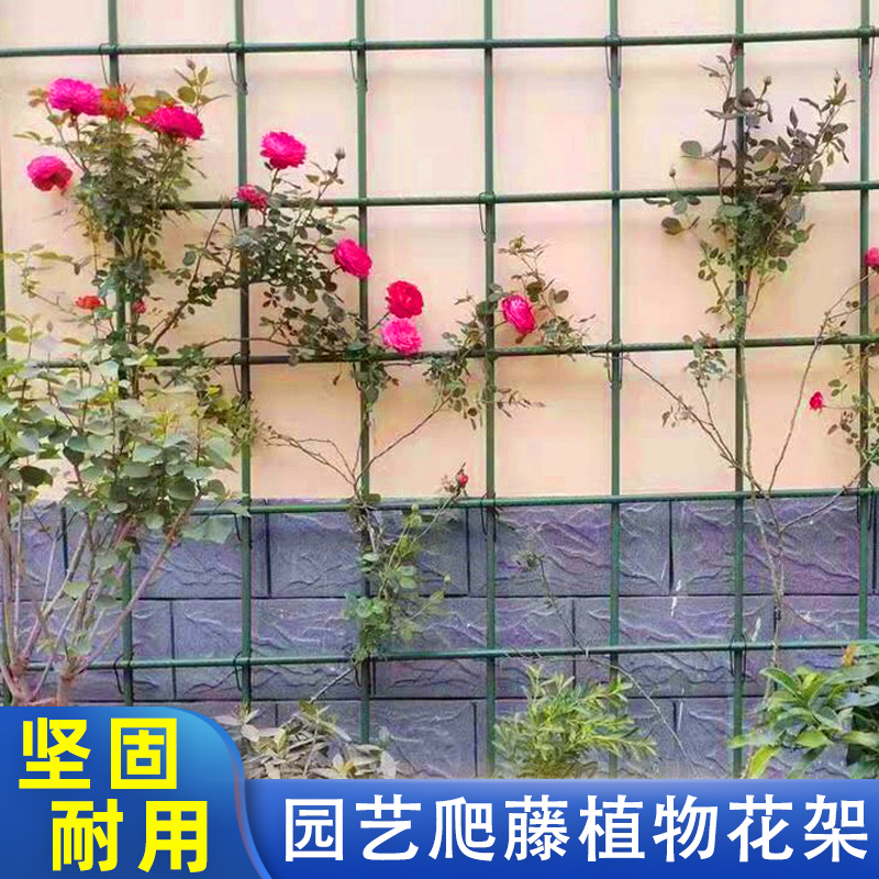Flower frame mesh monthly flower climb vine shelf balcony outdoor courtyard wall wall wall green plant real flower