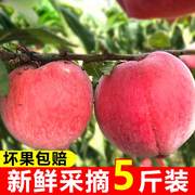 券后10.9元包邮