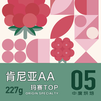 Kenya AA Boutique Coffee Bean Washed Berry Fruit Flavoured Single Pint Handmade Coffee Powder Fresh Baking 227g