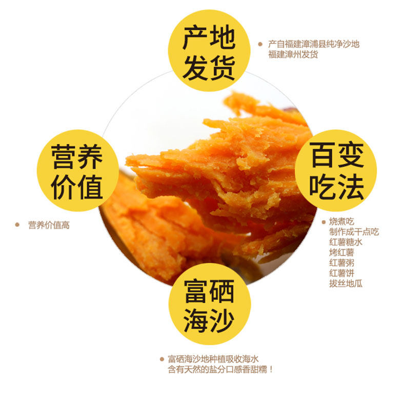 新鲜现挖农家蜜薯 5斤 图3