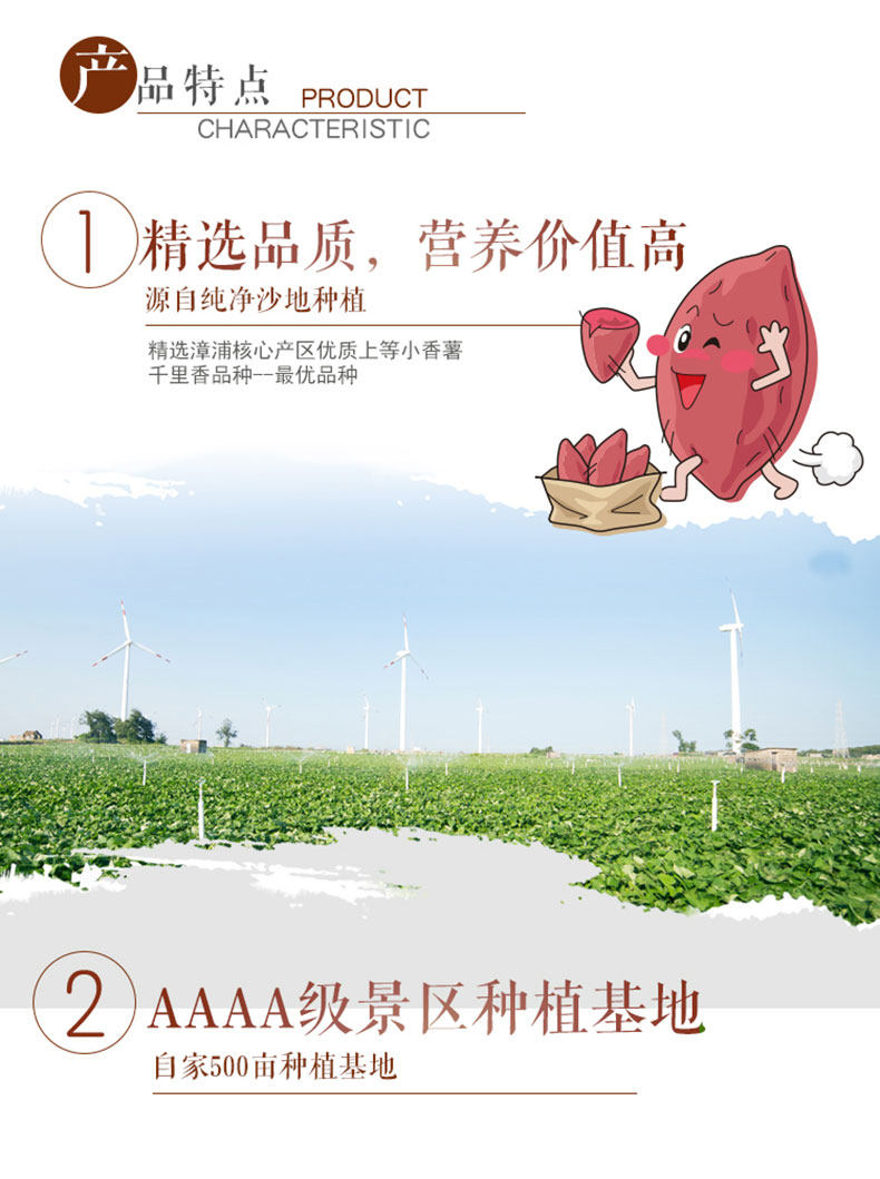 新鲜现挖农家蜜薯 5斤 图4