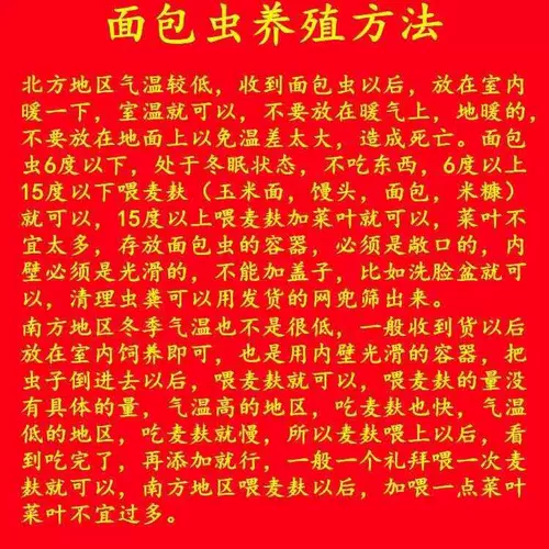 Живые птичьи жуки в живут