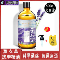 Massage Essential Oils Lavender Meridians Meridians Body Full Body Push Oil Open Back Scraping Beauty Salon Massage Oil Generic